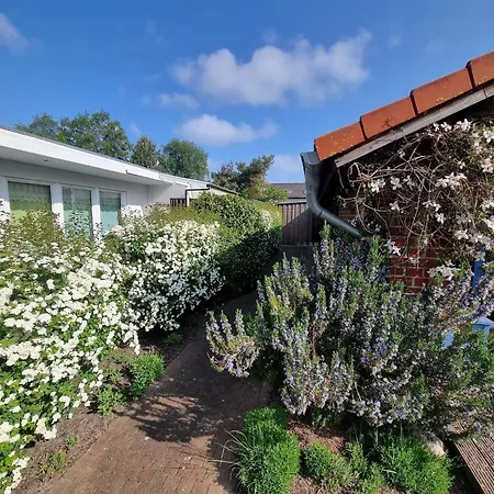 Ferienhaus Kurs Nordost Ostseeheilbad Zingst